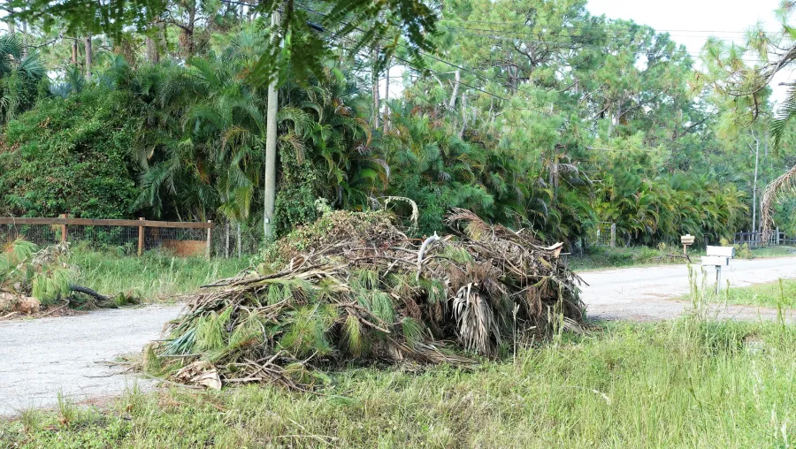 Yard Waste & Property Cleanup Yard Waste & Property Cleanup